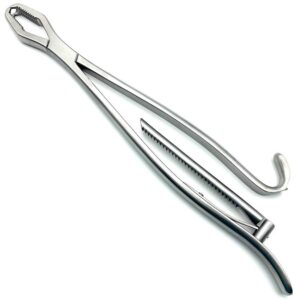 Lane Bone Holding
