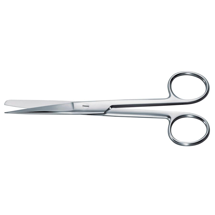 Dissecting Scissors